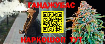 Альфа ПВП Сланцы