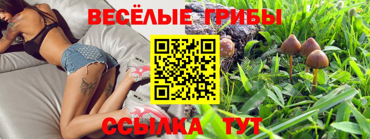Галлюциногенные грибы прущие грибы Орёл