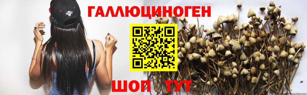 Псилоцибиновые грибы Psilocybe  Вход с VPN  купить закладку  Орёл  Галлюциногенные грибы прущие грибы 
